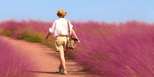 バチカツのルール１イメージ